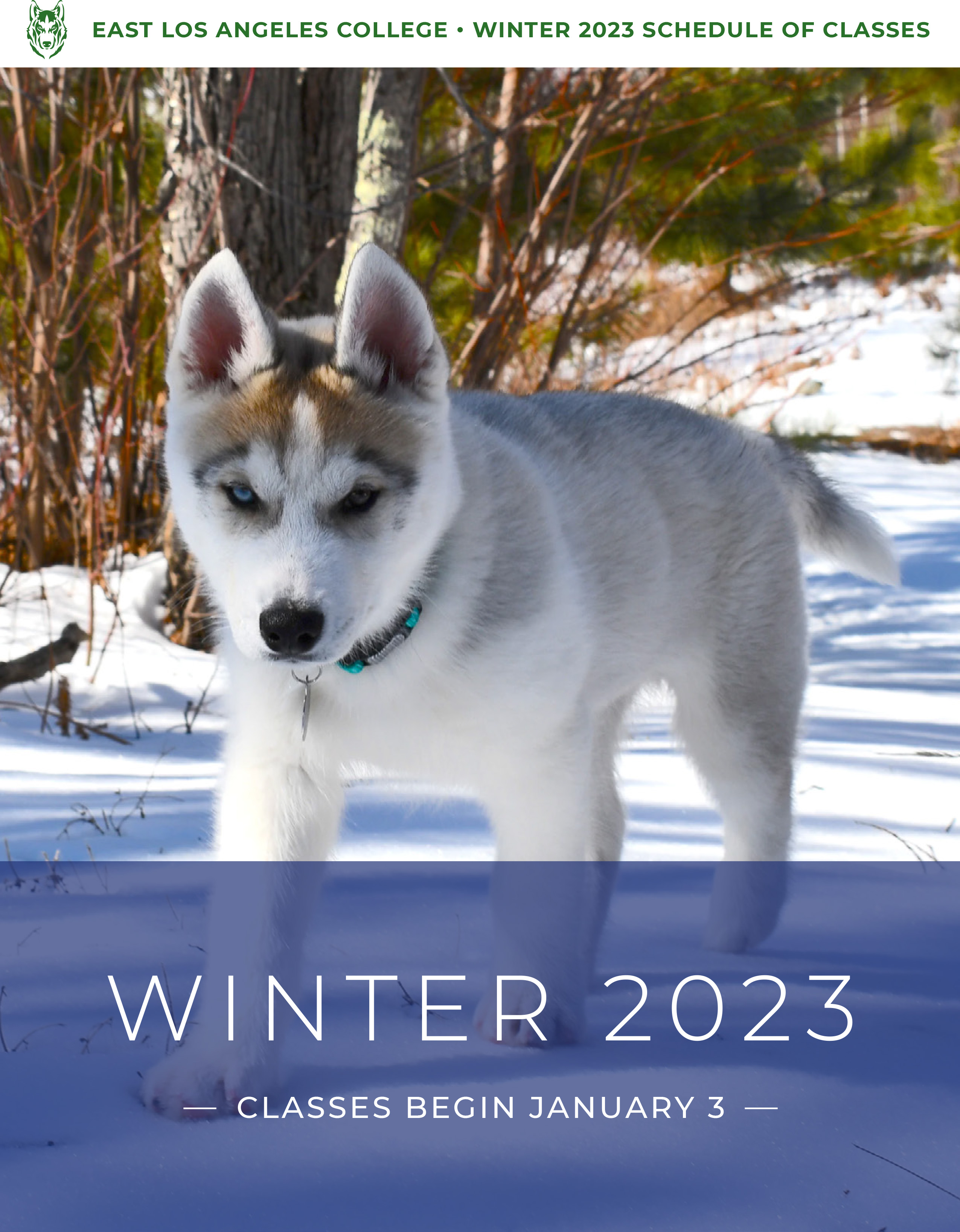 Schedule Winter 2024 Schedule Catalog